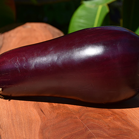 Plant Photo 4